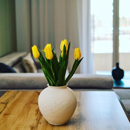“The Elysian” City Center Apartment Thessaloníki Eksteriør bilde