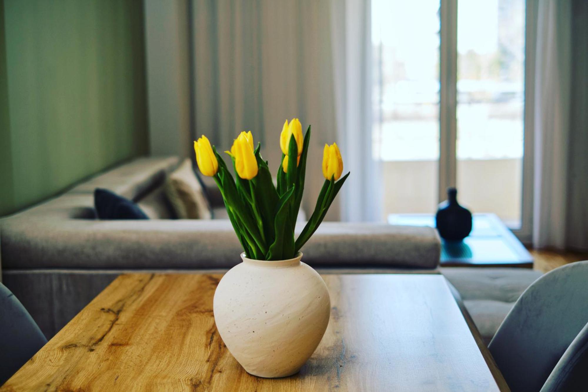 “The Elysian” City Center Apartment Thessaloníki Eksteriør bilde